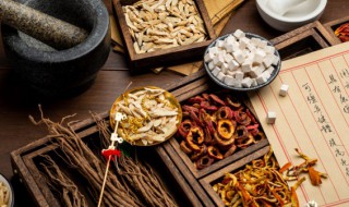 天麻泡酒怎么泡 天麻泡酒的配方