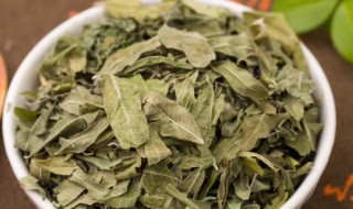 罗布麻花茶的功效与作用是什么 罗布麻花茶的功效与作用有哪些