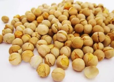 鹰嘴豆亩产量多少斤 鹰嘴豆是哪里产的粮食