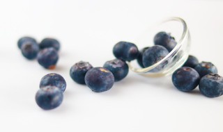 蓝莓的种植养护方法 蓝莓如何种植和养护