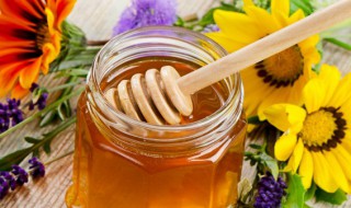 蜂巢有什么功效 蜂巢有哪些功效