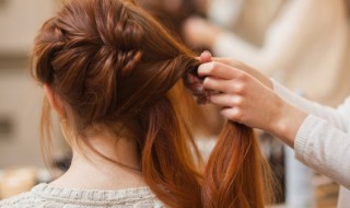 茶棕和黑茶有什么区别 茶棕和黑茶的区别是什么