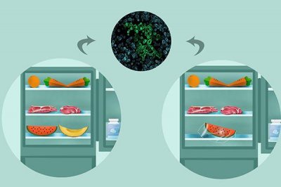 肉放保鲜三天还能吃吗 生猪肉放冰箱保存多长时间后不能吃