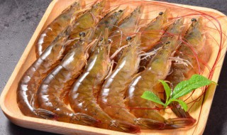 吃完对虾千万别碰5种食物 吃完对虾不能吃什么食物