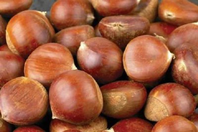 板栗树怎样施肥效果最好 板栗采收后施什么肥高产
