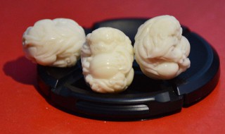 象牙果怎么辨认好坏 象牙果如何么辨认好坏