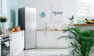 保鲜室结冰是怎么回事 冰箱保鲜室后壁结冰是什么原因