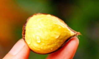 板栗和红枣能一起吃吗 栗子和红枣能一起吃吗