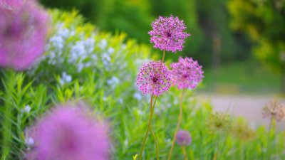 十二星座抑郁排行榜 十二星座抑郁指数排名情况
