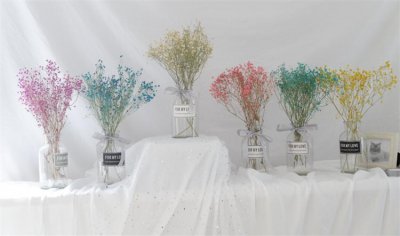 满天星放水里还是干放时间久 满天星鲜花和干花区别不大