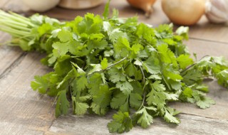 香菜晒干保存半年都新鲜 香菜的保存方法