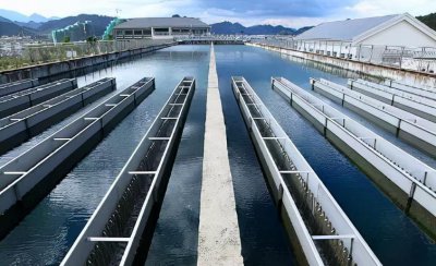 自来水消毒用什么消毒剂 常用的七种自来水消毒方法