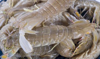 提前一天买虾如何保鲜储存 鲜虾怎么保鲜