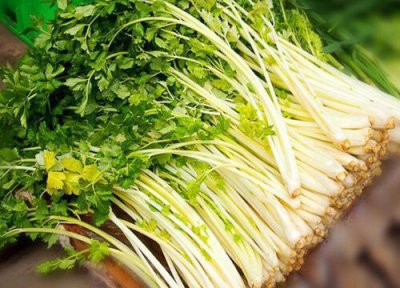 香芹亩产量多少斤 小香芹亩产一般多少斤