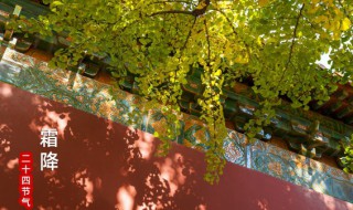 霜降节气三候 霜降节气我知道