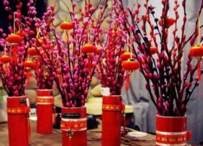 红色银柳怎么水养 红色银柳枝是干养还是水培养殖好