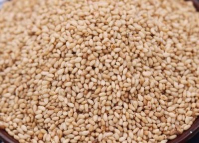 芝麻生长过程 芝麻的生长过程