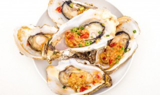 生蚝一次吃多少合适 生蚝一次可以吃多少个