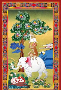 兔子的祖先是谁 兔子的始祖是哪种兔子生活在哪里