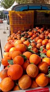 摆地摊需要准备什么东西好卖 新手摆摊卖水果小本生意经验