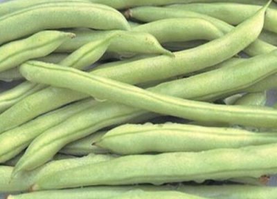 芸豆冷冻保存 芸豆可以冷冻保存吗