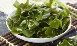 常见的藻类植物有哪些 常见的藻类植物有什么