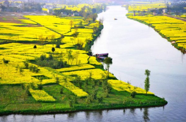 最纯正的四川人是哪里