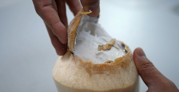 椰子如何打开小技巧