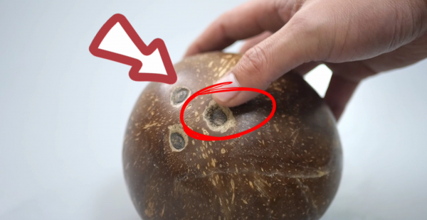 椰子如何打开小技巧