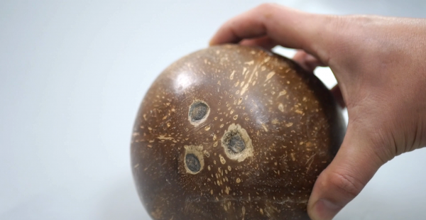 椰子如何打开小技巧