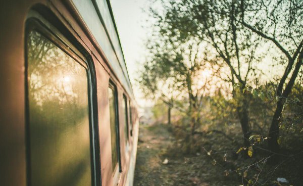 静修是什么意思