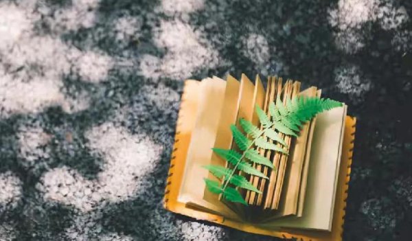 两个互相暗恋的人见面磁场感应