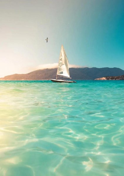 两个互相暗恋的人见面磁场感应