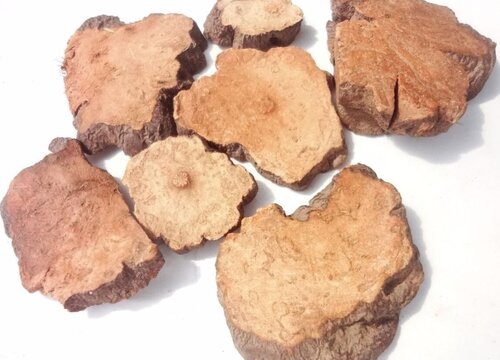 何首乌的功效与作用及食用方法