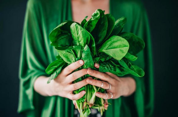 加什么东西让头发猛长