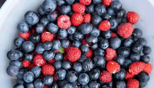 加什么东西让头发猛长