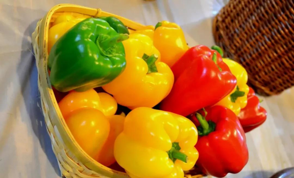 加什么东西让头发猛长