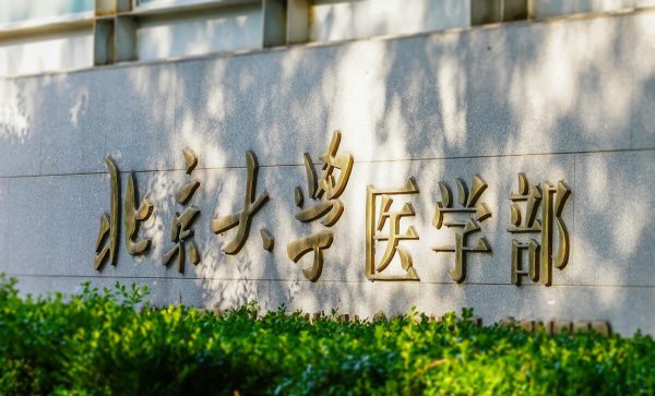 当医生要选什么学科