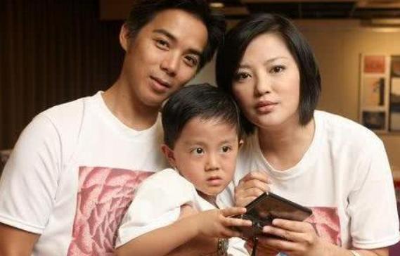 陈子强和妻子傅天颖现状