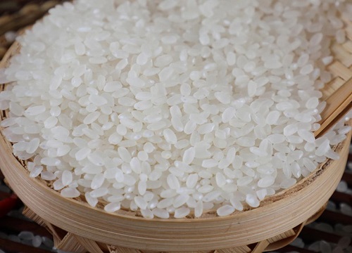 什么大米好吃排行榜