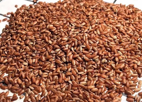 什么大米好吃排行榜