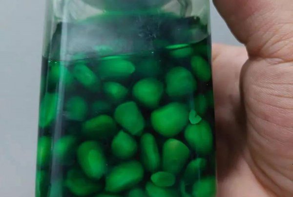 嫩玉米怎么泡制好钓鱼