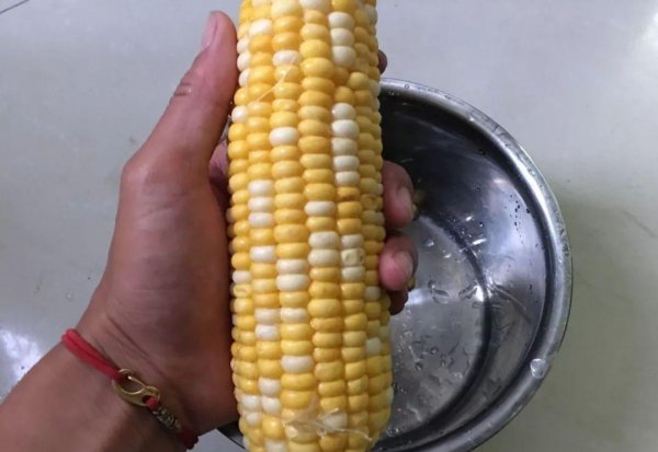 嫩玉米怎么泡制好钓鱼