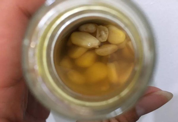 嫩玉米怎么泡制好钓鱼