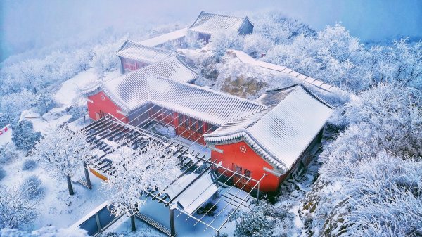 山东省潍坊市有几个区县