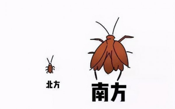 踩死蟑螂会产生更多吗