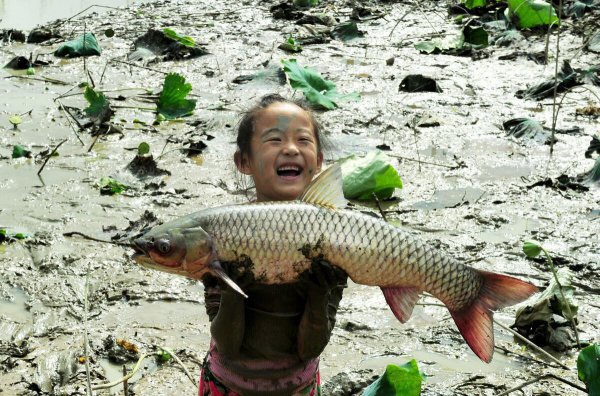 市场上哪种鱼鱼刺少
