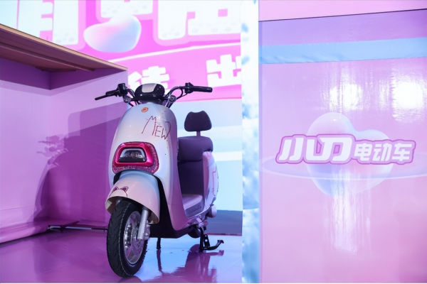 什么牌子的电动自行车好