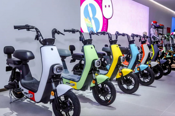 什么牌子的电动自行车好