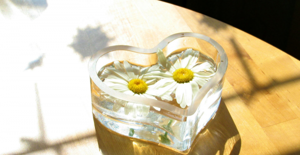 天秤座注定爱上的星座